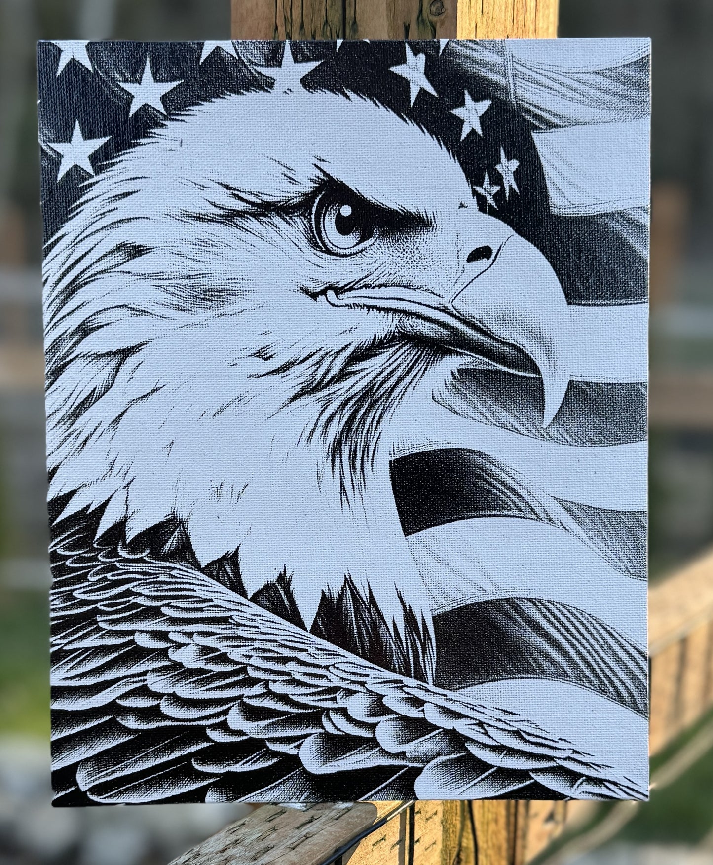 Laser on canvas Eagle